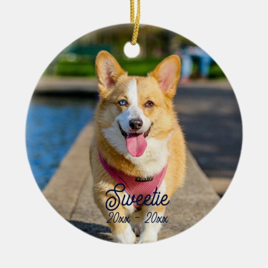 Benutzerdefiniertes Personalisiertes Memorial Cat Keramik Ornament (Vorne)