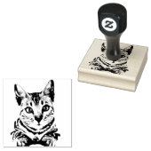 Benutzerdefiniertes Pet-Bild Gummistempel (Stempel)