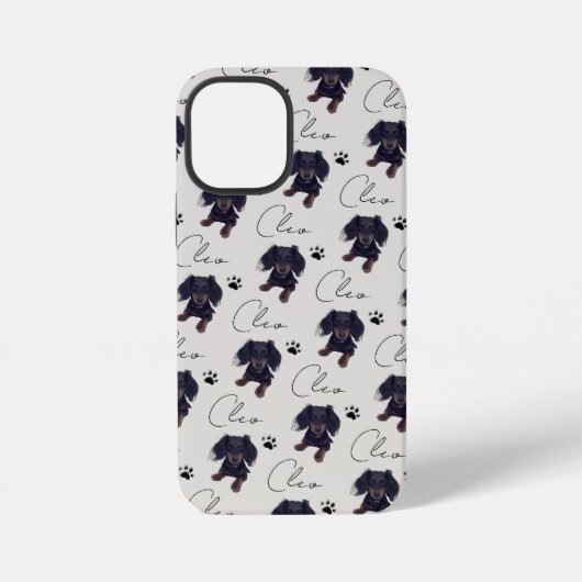 Benutzerdefiniertes Pet-Portrait und Skriptnamen-Ü iPhone Hülle (Rückseite)