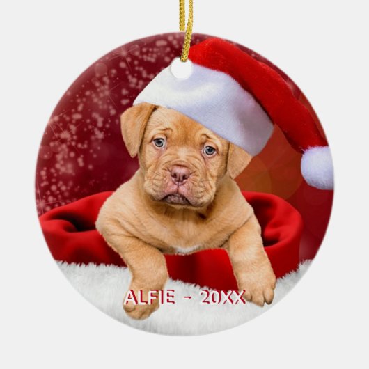 Benutzerdefiniertes Pitbull Puppy-Dog-Foto Keramik Ornament (Vorne)