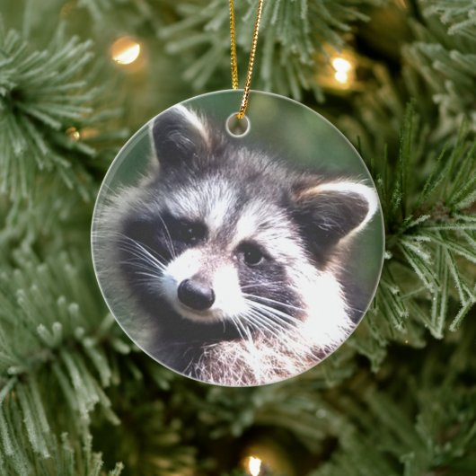 Benutzerdefiniertes Raccoon-Foto Keramik Ornament (Baum)