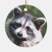 Benutzerdefiniertes Raccoon-Foto Keramik Ornament (Vorne)