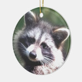 Benutzerdefiniertes Raccoon-Foto Keramik Ornament (Links)