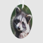 Benutzerdefiniertes Raccoon-Foto Ornament (Vorderseite)