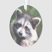 Benutzerdefiniertes Raccoon-Foto Ornament (Vorderseite)