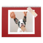 Benutzerdefiniertes rotes Haustierfoto Kalender (Titelbild)