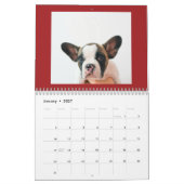 Benutzerdefiniertes rotes Haustierfoto Kalender (Jan 2027)