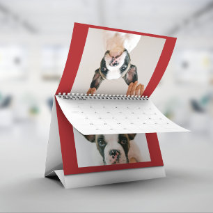 Benutzerdefiniertes rotes Haustierfoto  Kalender