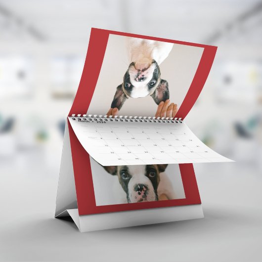 Benutzerdefiniertes rotes Haustierfoto Kalender