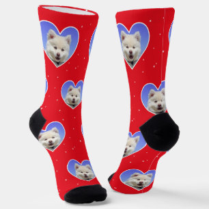 Benutzerdefiniertes Samojeden-Hundefoto auf roter  Socken