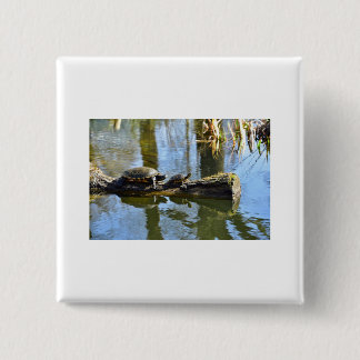 Benutzerdefiniertes Süße Tier-Ziel des Schildkröte Button