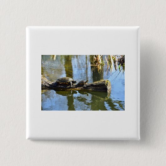 Benutzerdefiniertes Süße Tier-Ziel des Schildkröte Button (Vorderseite)