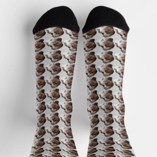 Benutzerdefiniertes süßes Katzenbild-Muster Socken (Oben)