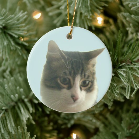 Benutzerdefiniertes Tabby-Cat-Foto für Light Blue Keramik Ornament (Baum)