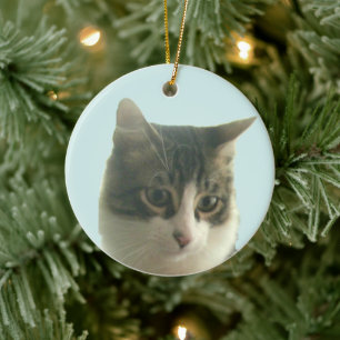 Benutzerdefiniertes Tabby-Katzenfoto auf Hellblau Keramik Ornament