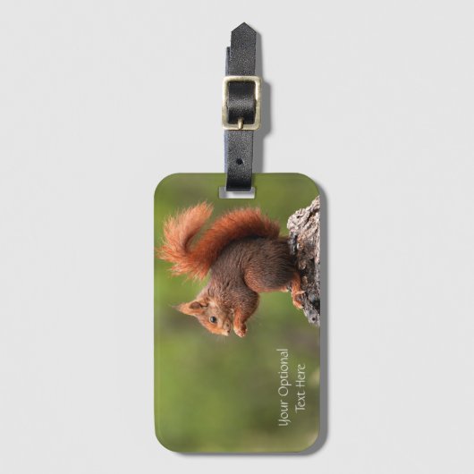 Benutzerdefiniertes Texthörnchen Gepäckanhänger (Vorderseite Vertikal)