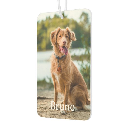 Benutzerdefiniertes Tier 2 Foto Name Hundeliebhabe Autolufterfrischer (Links)