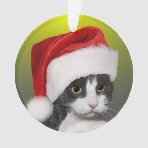 Benutzerdefiniertes Weihnachtslied Smoking-Katze F Ornament