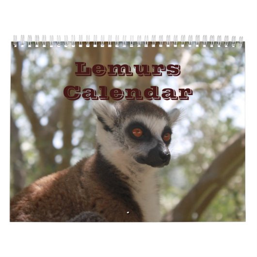 Benutzerdefiniertes Ziel von Animal Lemur Niedlich Kalender (Titelbild)