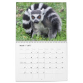 Benutzerdefiniertes Ziel von Animal Lemur Niedlich Kalender (Mär 2027)