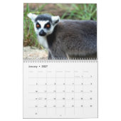 Benutzerdefiniertes Ziel von Animal Lemur Niedlich Kalender (Jan 2027)