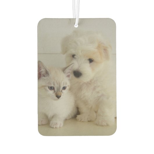 Benutzerdefiniertes zweiseitiges Foto Autolufterfrischer (Rückseite)