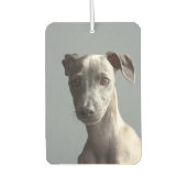 Benutzerdefiniertes zweiseitiges Pet-Hund-Foto Per Autolufterfrischer (Vorderseite)