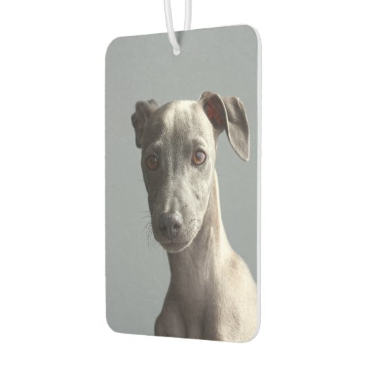 Benutzerdefiniertes zweiseitiges Pet-Hund-Foto Per Autolufterfrischer (Links)