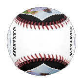 Benutzername, Spielernummer und Teamname Baseball (Rückseite)