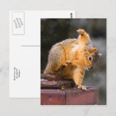 Beobachten Sie Ihren Schritt Postkarte (Vorne/Hinten)