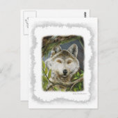 Beobachtende Augen Postkarte (Vorne/Hinten)