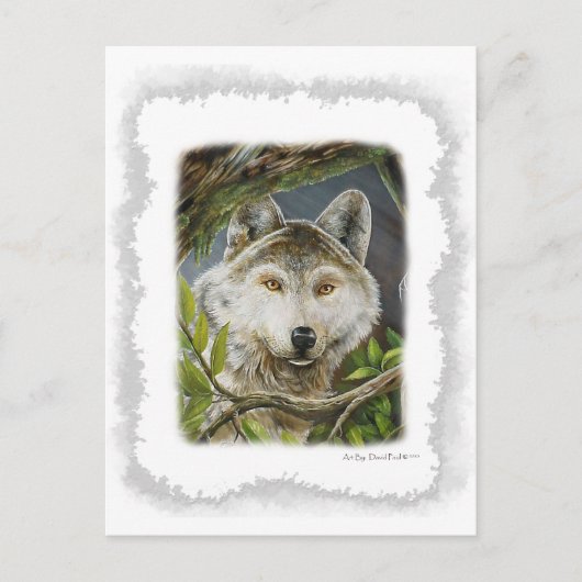 Beobachtende Augen Postkarte (Vorderseite)