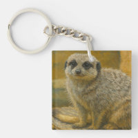 Beobachtende Stille - Realistisches Meerkat-Portra