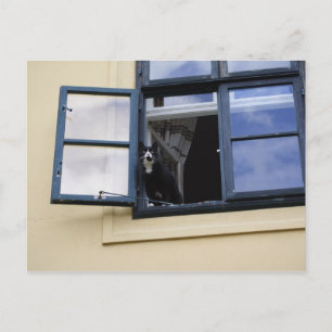 Beobachter Postkarte