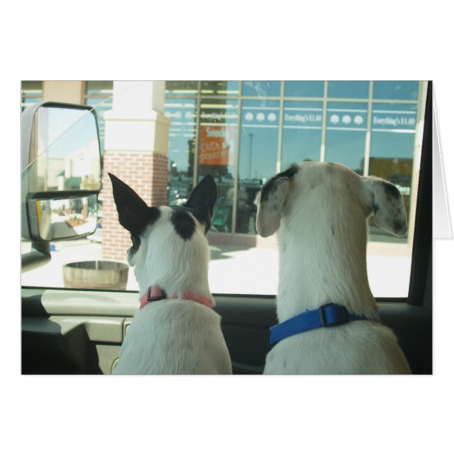 BEOBACHTUNG (Vorderseite (Horizontal))