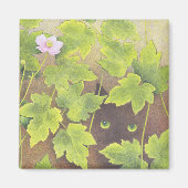 Beobachtung Magnet (Vorne)