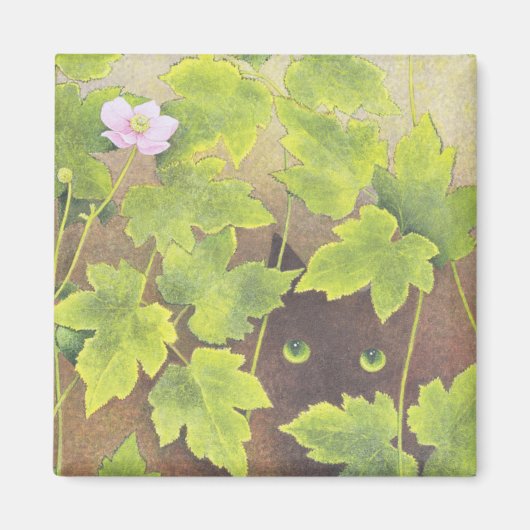 Beobachtung Magnet (Vorne)