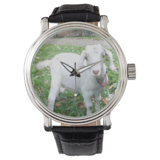 Beobachtung von weißen Ziegen Armbanduhr