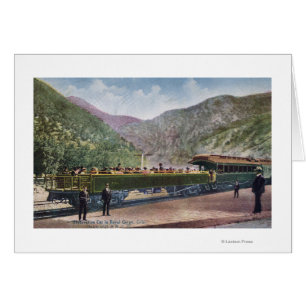 Beobachtungs-Eisenbahn-Auto