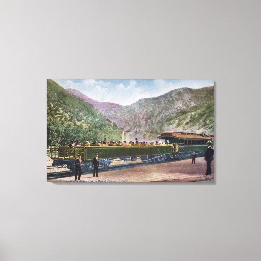 Beobachtungsschienenkraftwagen Leinwanddruck (Vorderseite)