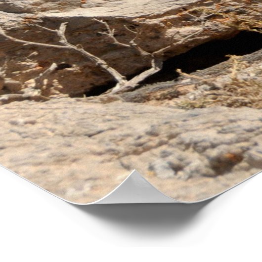 Beobachtungsstelle Poster (Ecke)