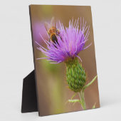 Bequeme Beete auf Lila Dickicht Fotoplatte (Seite)