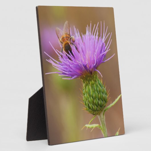 Bequeme Beete auf Lila Dickicht Fotoplatte (Seite)