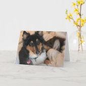 Bequeme Collieraum-Mitteilungskarten Karte (Gelbe Blume)