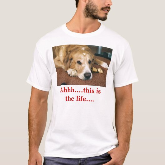 Bequemer Hund T-Shirt (Vorderseite)