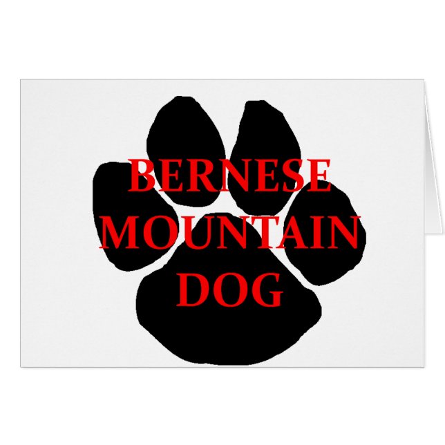 ber mt dog name paw.png (Vorderseite (Horizontal))