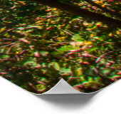 Berea Falls, Ohio Poster (Ecke)