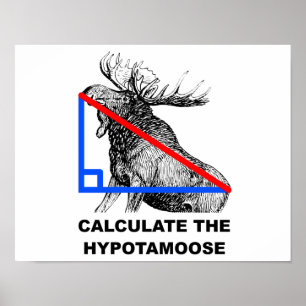 Berechnen Sie das Hypotamoose lustige Poster