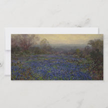 Bereich Bluebonnet-Blume (Landschaft des ländliche