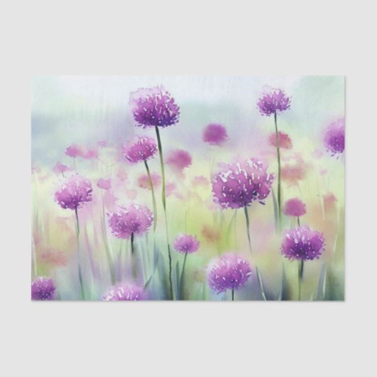 Bereich Blume-Allium, b) Aquarell Seidenpapier (Vorderseite)